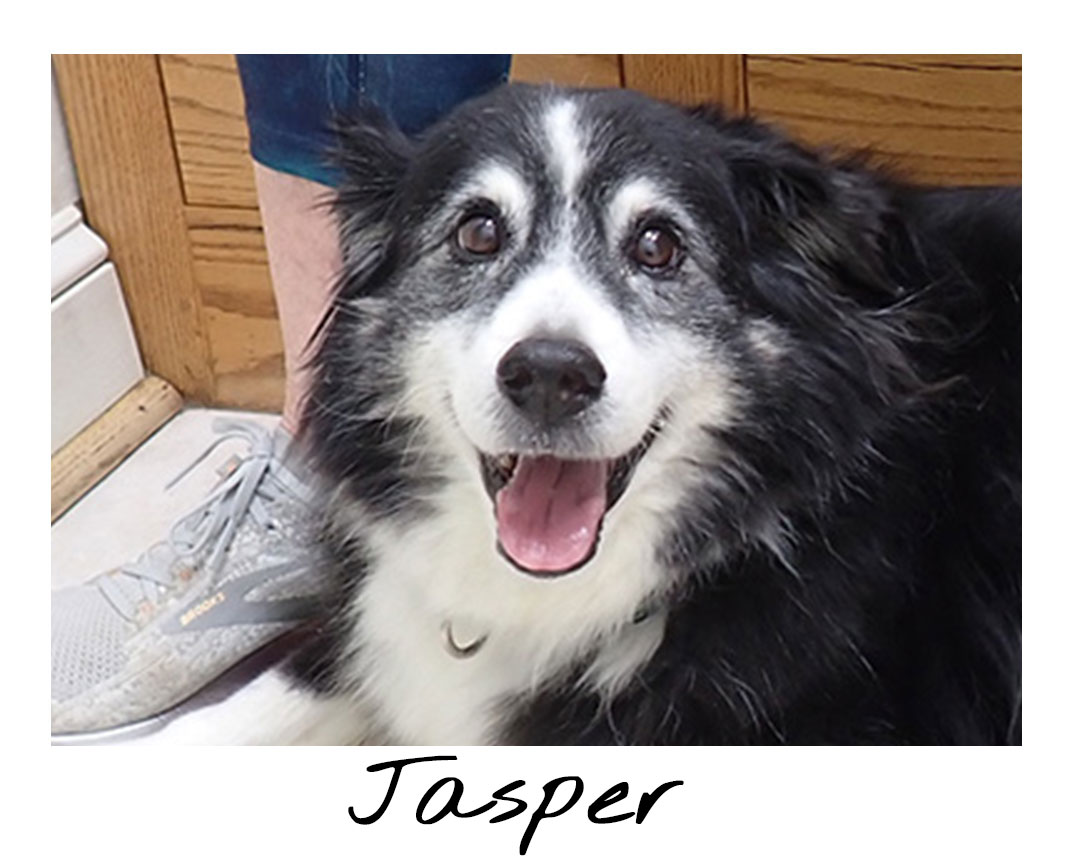Jasper